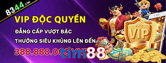 tim88