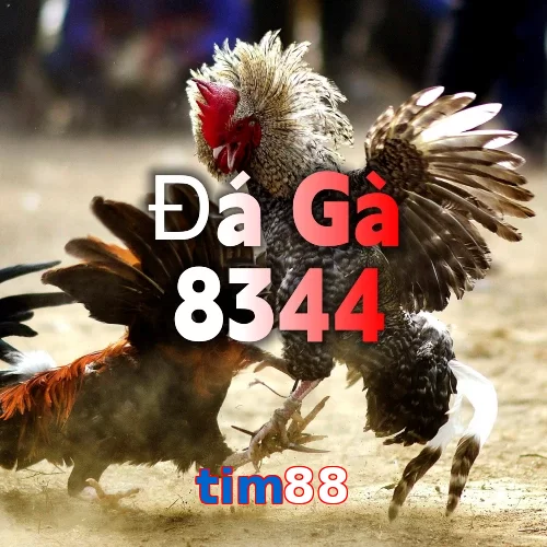 tim88